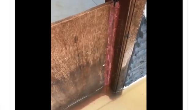 Pakai Triplek Viral Video Netizen Bagikan Tips Agar Banjir Tak Masuk Rumah Citizen6 Liputan6 Com