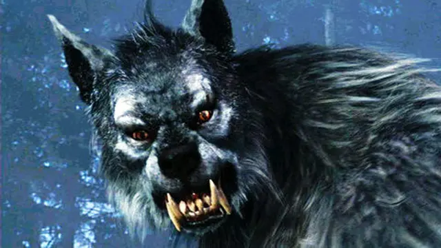 Anjing berubah buas ketika bulan purnama