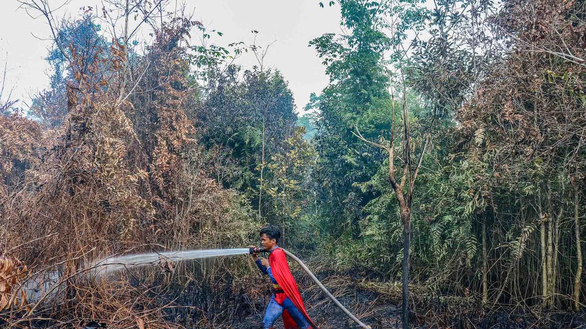 Aksi Superman Padamkan Kebakaran Lahan Gambut