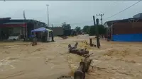 Banjir di Aceh Timur (Liputan6.com/Ist)