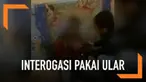 Polda Papua meminta maaf atas aksi anggotanya yang menginterogasi seorang jambret dengan melilitkan ular di badannya.