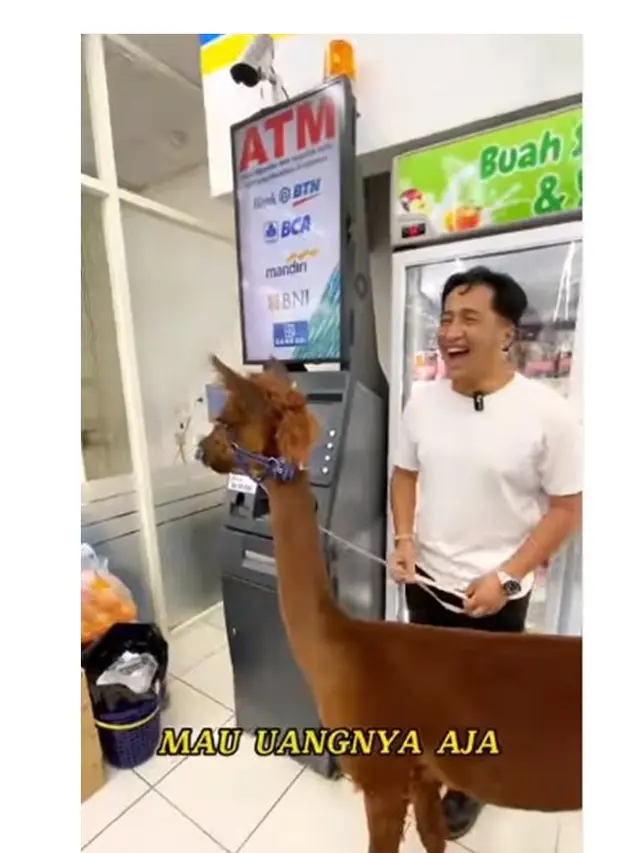 7 Potret Irfan Hakim dengan Alpaca Kesayangannya, Bikin Netizen Gemas