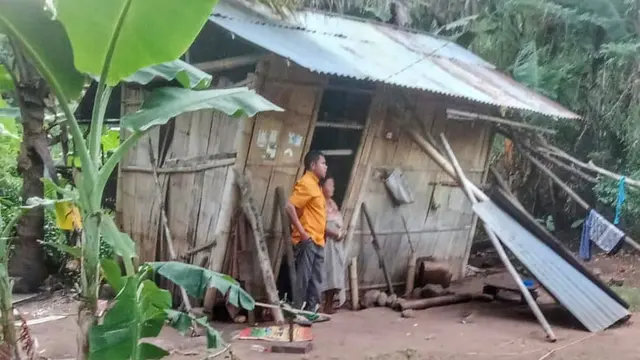 Kondisi Mama Martina yang hidup di gubuk reot di Sesa Hoder, Kabupaten Sikka, NTT (Liputan6.com/Ola Keda)