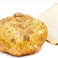 Bengkuang. foto: cuvious.com