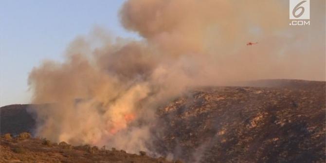 Kebakaran Hutan di Yunani