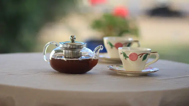 Teh Rooibos
