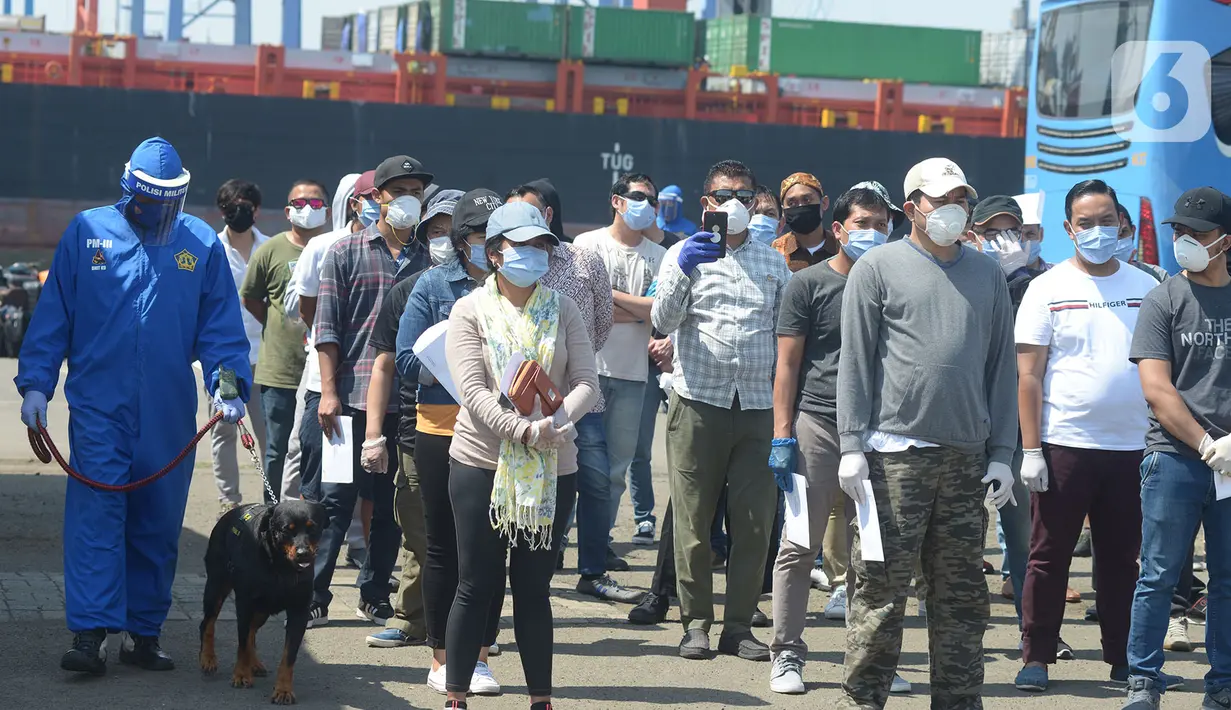 Sejumlah WNI ABK MV Eurodam saat tiba di Pelabuhan JITC 2, Tanjung Priok, Jakarta, Rabu (17/6/2020). Evakuasi  870 WBI ABK MV Eurodam dibagi menjadi dua tahap gelombang pertama hari ini Rabu (17/6) sebanyak 440 WNI ABK MV Eurodam hingga Kamis (18/6) sebanyak 430 orang. (merdeka.com/Imam Buhori)