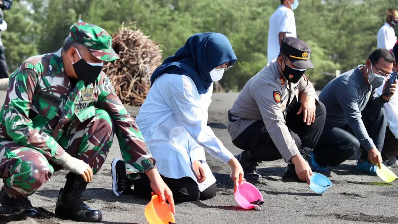 Pelepasan tukik sebagai tanda dibukanya wisata Banyuwangi. (Dian Kurniawan/Liputan6.com)