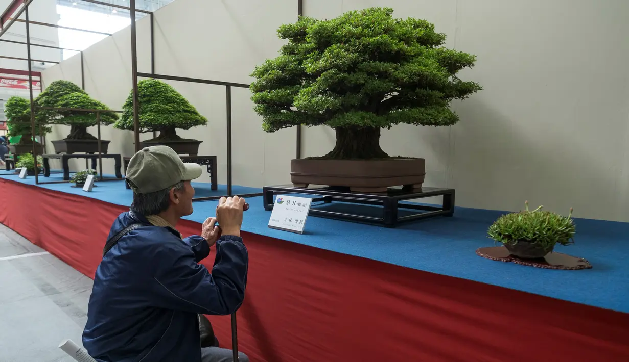 Pengunjung melihat bonsai yang ditampilkan saat Konvensi Bonsai Dunia ke-8 di Saitama, Tokyo, Jepang, Sabtu (29/4). Konvensi Dunia Bonsai telah kembali ke Jepang untuk pertama kalinya dalam 28 tahun. (AFP PHOTO / Kazuhiro NOGI)