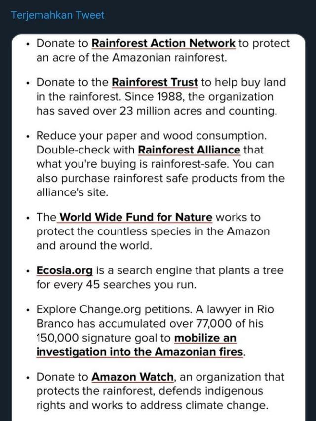 Pray For Amazon, Doa Warganet untuk Kebakaran Amazon