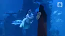Penyelam berkostum putri duyung berenang dalam Jakarta Aquarium dan Safari, Sabtu (19/12/2020). Jakarta Aquarium dan Safari menghias pohon Natal dari bahan daur ulang mulai 20-27 Desember 2020 untuk memperingati perayaan Natal. (merdeka.com/Imam Buhori)