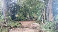 Bukit Godog area makam Prabu Kiang Santang Garut (Liputan6.com/Jayadi Supriadin)