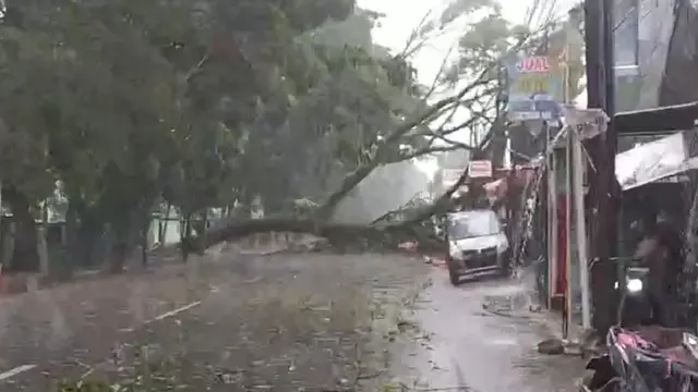 Hujan dan Angin Kencang Selasa Sore, Belasan Pohon di Kota Bogor Tumbang