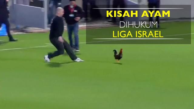 Berita video seekor ayam jantan bernama Rambo yang kena hukuman oleh Liga Sepak Bola Israel karena beberapa kali mengganggu jalannya laga.