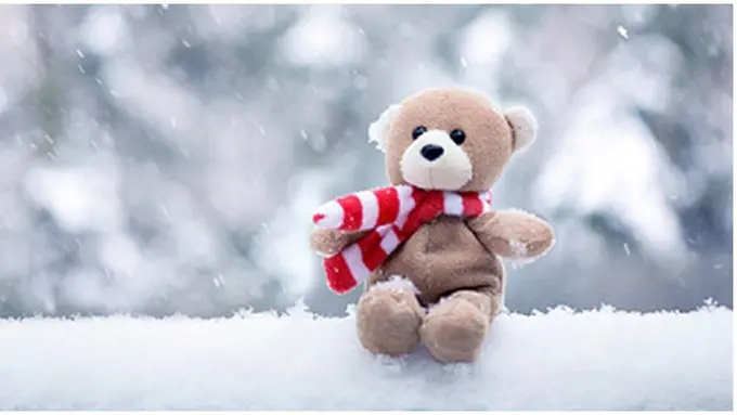 Foto: copyright latesthdwallpaper.com