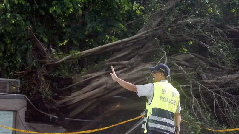 Dampak Topan Nesat yang melanda sebelum Topan Haitang di Taiwan. (AP)