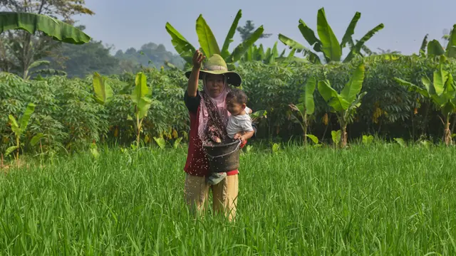 Distribusi Pupuk Subsidi kepada Petani Mulai Lancar