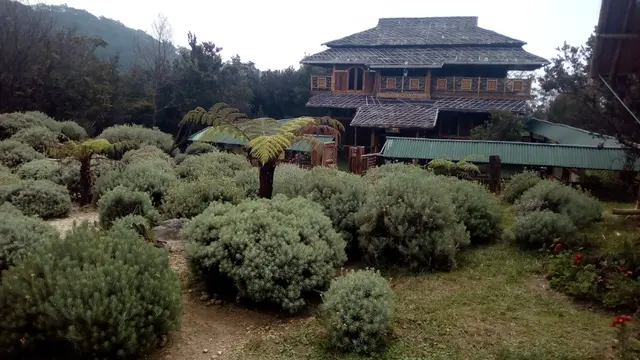 Salah satu cottage bambu TWA Gunung Papandayan, Garut, Jawa Barat siap menjadi pilihan berlibur anda saat libur lebaran tahun ini