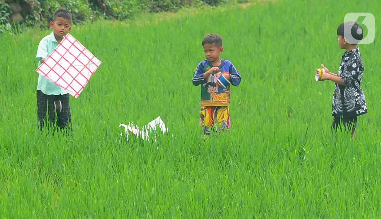 Anak-anak bermain layang-layang pada areal sawah di kawasan Sukamakmur, Bogor, Jumat (15/07/2022). Mereka menghabiskan waktu bermain saat mengisi waktu libur panjang  sekolah.
(merdeka.com/Arie Basuki)