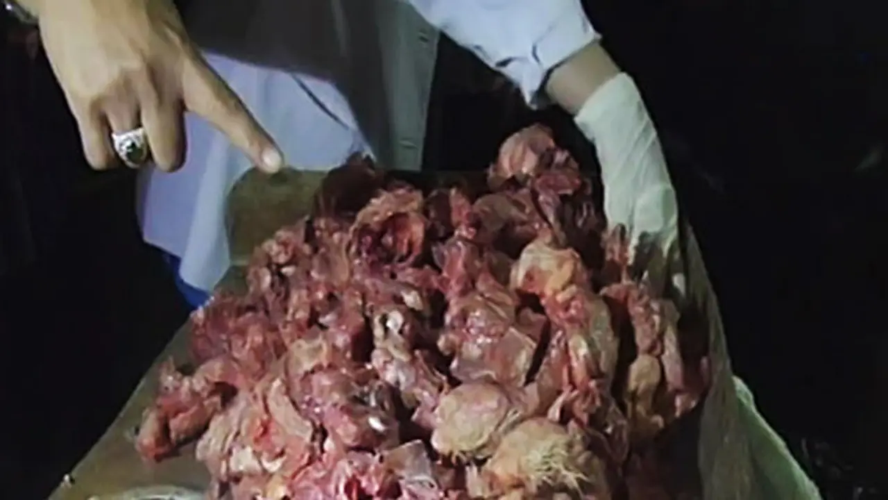 (Lip6siang) AYAM TIREN
