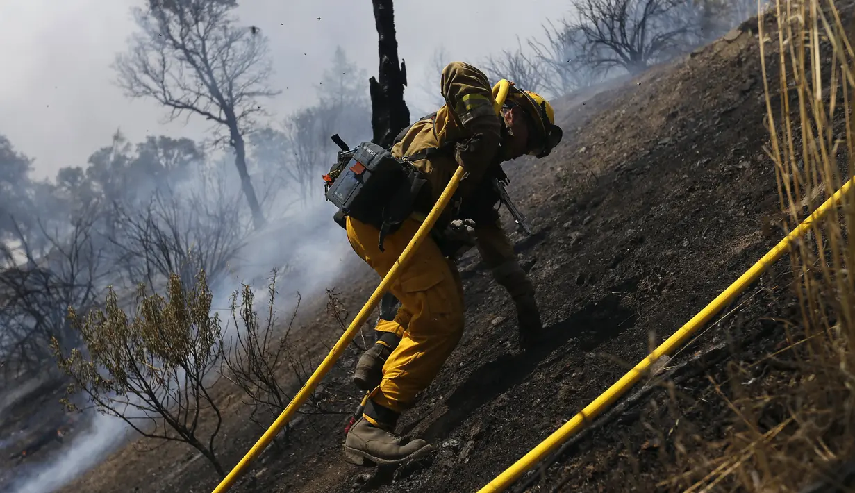 Seorang pemadam kebakaran sedang memanjat bukit untuk memadamkan api, California, AS, Senin (3/8/2015). Sedikitnya 9.000 petugas damkar berjuang mengatasi sebanyak 18 kebakaran hutan yang melanda Negara Bagian California, AS. (Reuters/ Stephen Lam) 
