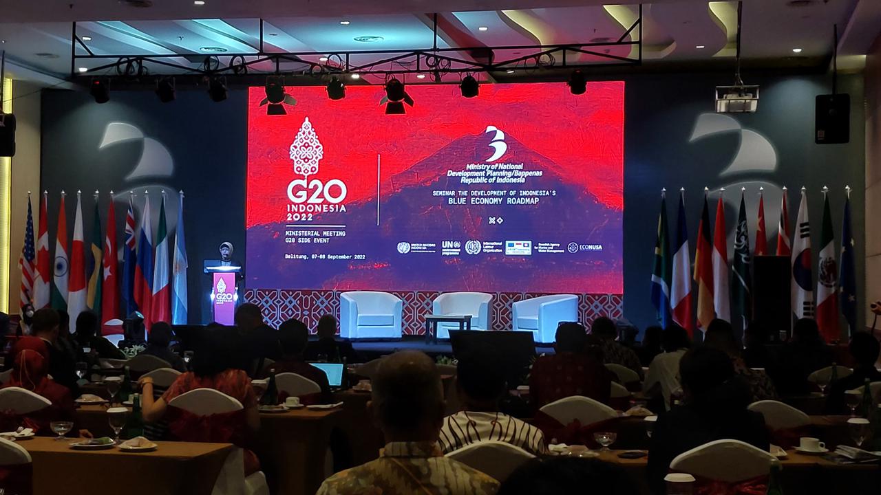 Deputi Bidang Ekonomi Kementerian PPN/Bappenas Amalia Adininggar Widyasanti