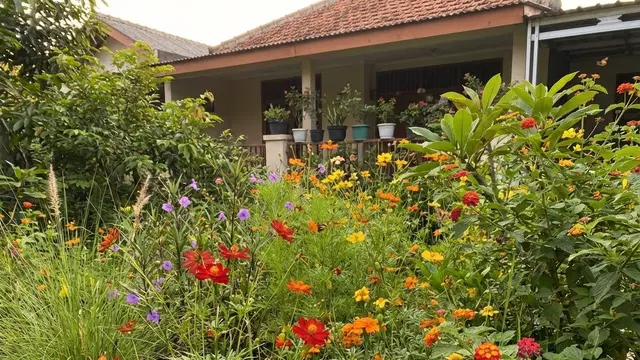 Kebun Bunga Liar (Wildflower Garden)