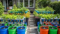 7 Ide Budikdamber Modern yang Bikin Halaman Rumah Lebih Produktif
