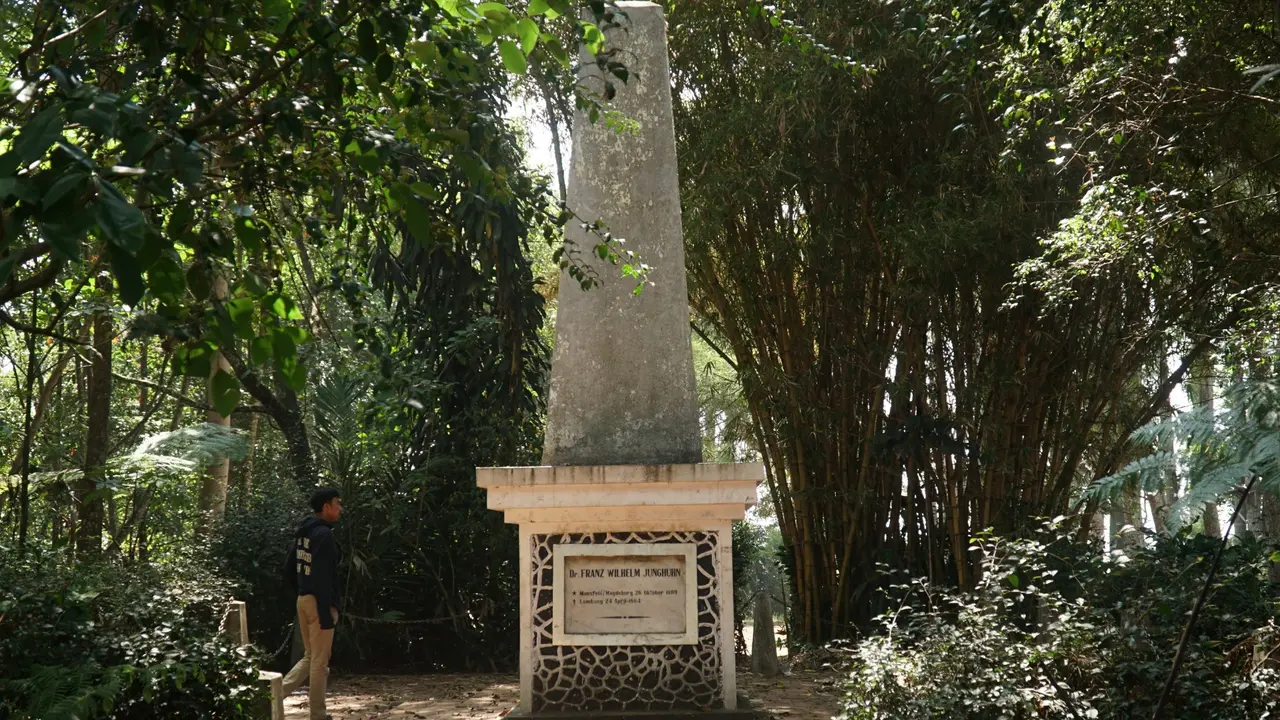 Cagar Alam Junghuhn