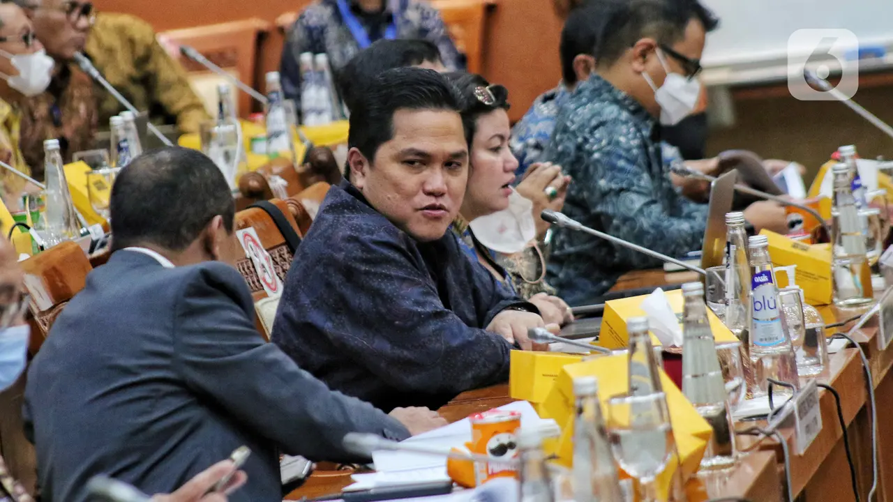 BUMN dan investasi raker dengan komisi VI
