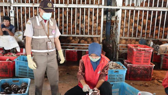 Ekspor Olahan Kelapa Indonesia