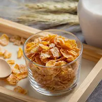 Ilustrasi Sereal Homemade / Freepik by jcomp