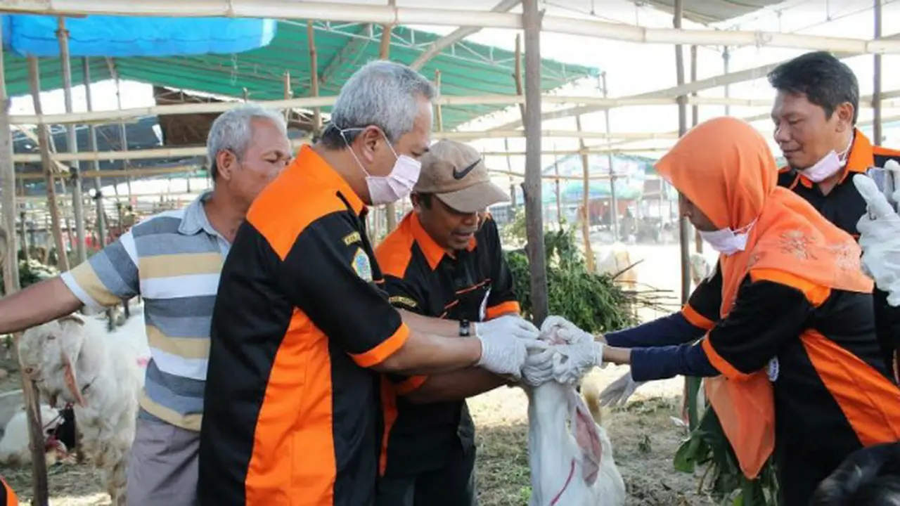 (Foto: Liputan6.com/Dian Kurniawan)