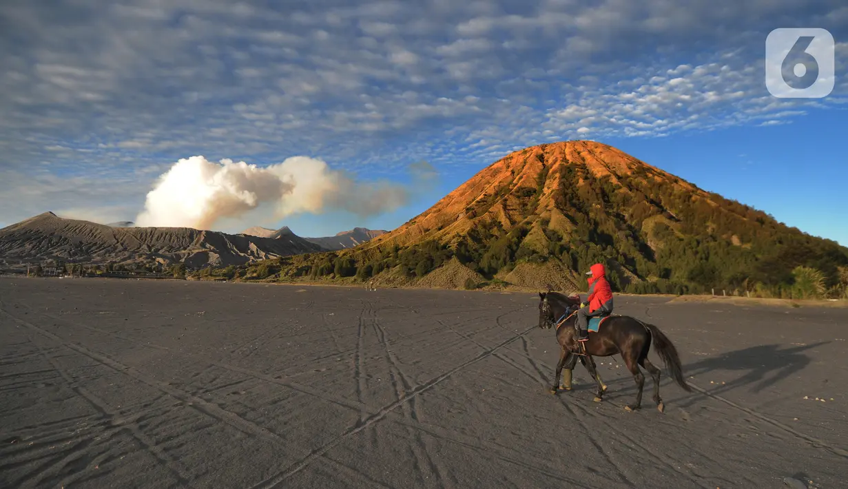 <p>Pemilik kuda berkeliling di lautan pasir Gunung Bromo, Probolinggo, Jawa Timur, Jumat (10/9/2021). Balai Besar Taman Nasional Bromo Tengger Semeru (BB-TNBTS) mulai membuka pintu masuk kawasan wisata Bromo melalui Kabupaten Probolinggo. (merdeka.com/Arie Basuki)</p>