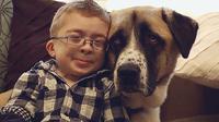 Haru, Persahabatan Anak dengan Penyakit Langka bernama Owen dan Anjingnya yang Cacat, Haatcchi (sumber. Telegraph.co.uk)
