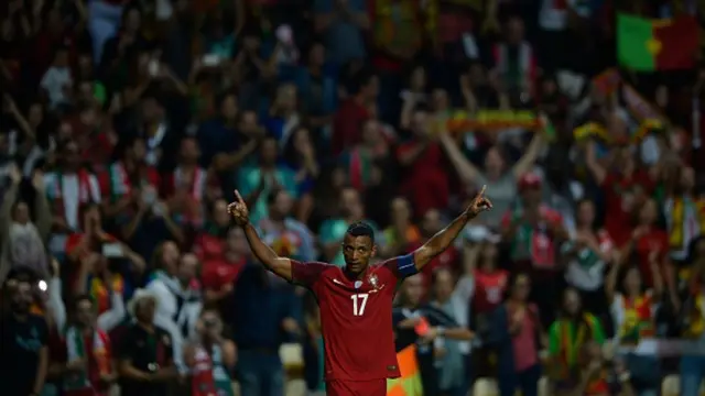 Luis Nani
