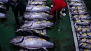 Untuk diketahui, lelang tahunan ini bukan hanya ajang kompetisi antar pengusaha kaya, tetapi juga menjadi simbol keberuntungan di awal tahun baru sekaligus menarik perhatian media domestik dan internasional. Tampak dalam foto, para pedagang grosir memeriksa ikan tuna sirip biru pada lelang tahunan “Tahun Baru” di pasar ikan Toyosu di Tokyo, Senin, 5 Januari 2026. (AP Photo/Louise Delmotte)