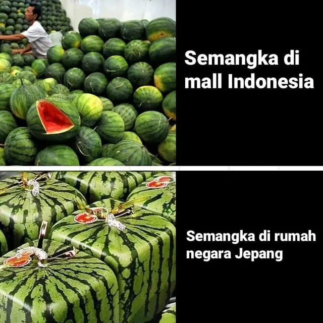 7 Meme Beda Buah Saat di Supermarket dengan di Rumah Ini Bikin Tepuk Jidat