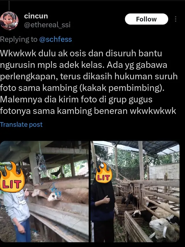 6 Cerita Netizen Zaman Sekolah Ini Kocak, Masa Jadi Murid Penuh Kenangan