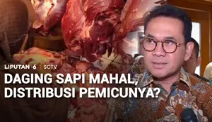 Daging Sapi Mahal, Distribusi Pemicunya?