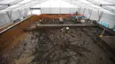 Arkeolog dari Universitas Cambridge, menemukan rumah kayu dari zaman perunggu yang tertutup oleh lumpur di Peterborough, Inggris, (12/1/2016). Bangunan rumah kayu ini berbentuk seperti rumah panggung. (REUTERS/Peter Nicholls)