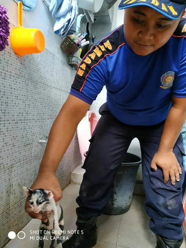 Damkar Selamatkan Kucing