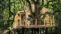 Mengintip Rumah Pohon Mewah Seharga Rp 2,4 miliar