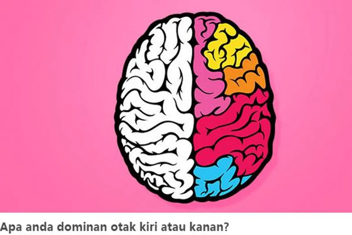 Ketahui Dominasi Otak Kanan dan Kiri Melalui Situs Vonvon