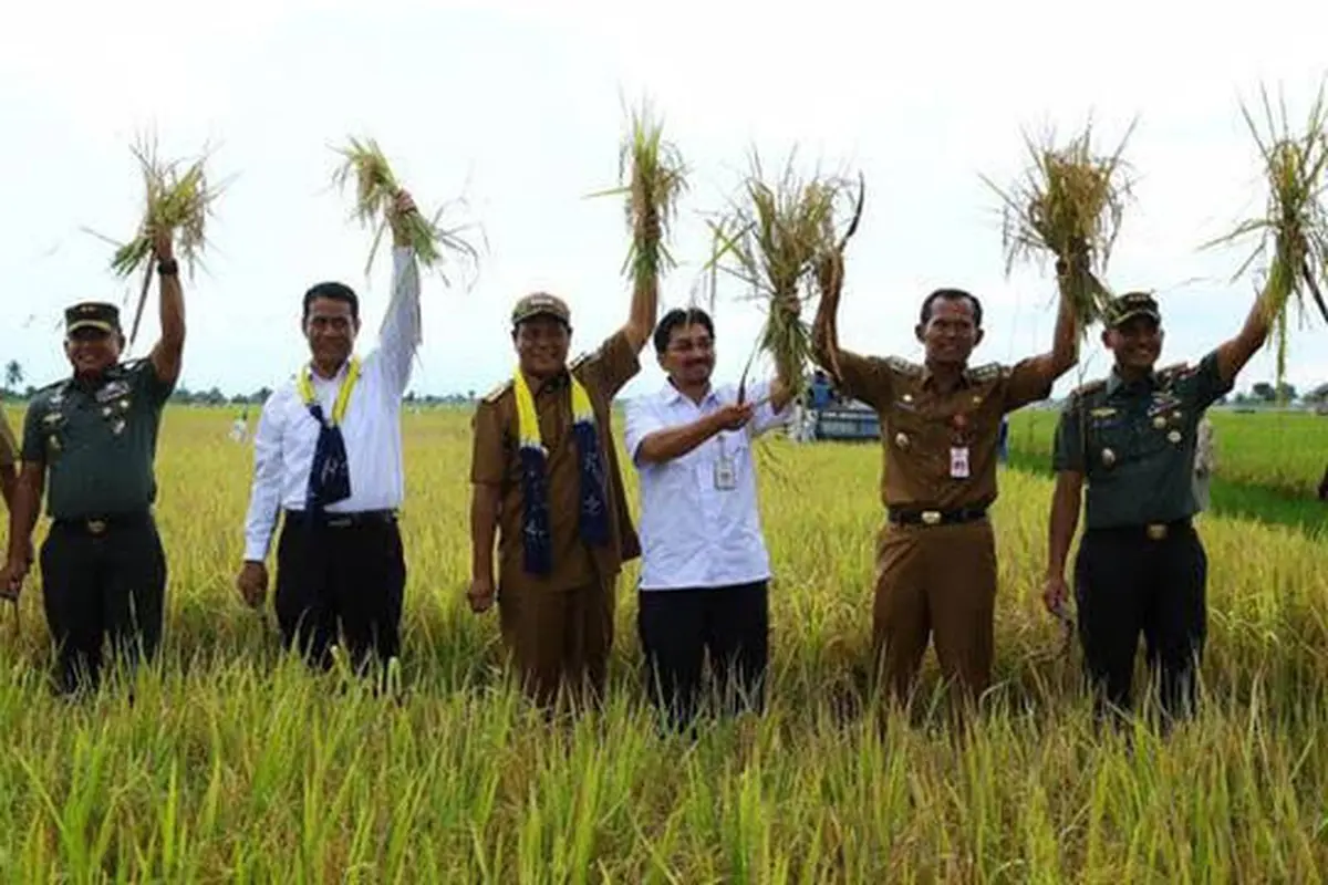 Dirjen PSP Kementan Tinjau Program Serasi di Kabupaten Banjar