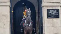 Seorang Pengawal Raja yang sedang duduk di atas kuda tiba-tiba menangis saat berjaga di depan Istana Buckingham Inggris. (dok. Youtube Buska In The Park)