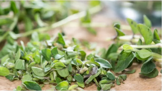 Foto: copyright by shutterstock.com