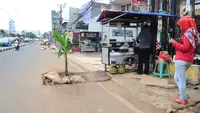 Tak Cuma Mengenyangkan, Ini 5 Fakta Menarik Pisang yang Jarang Diketahui