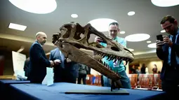Tampak pria mengambil gambar Fosil kepala Dinosaurus saat pemulangan fosil kepada pihak Mongolia di New York, Amerika, (5/4). Fosil asal Mongolia tersebut merupakan fosil dar salah satu dinosaurus terlangka bernama Alioramus . (Kena Betancur/AFP)