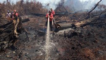 Kebasahan Gambut Berperan Penting Cegah Bencana Kebakaran Lahan